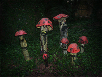 Murder Mushrooms